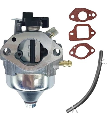 Amazon.com: Honda OEM 16100-Z9L-801 Engine Carburetor Assy